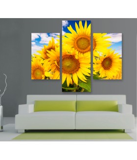 Multi-canvas 3x Sun flower